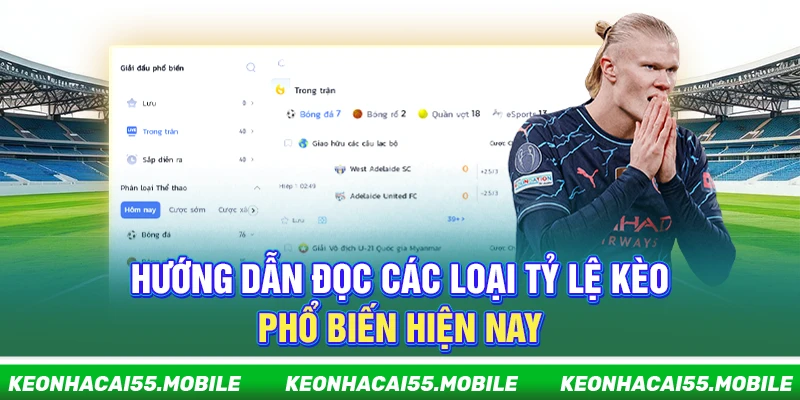 Kèo Nhà Cái ⭐️ Tỷ lệ Keonhacai 5, Kèo Bóng Đá Mới Nhất 24h 23 Hướng dẫn đọc các loại tỷ lệ kèo phổ biến hiện nay